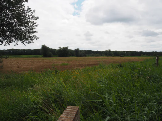 Dodendraad in Hamelt Achel (Belgium)